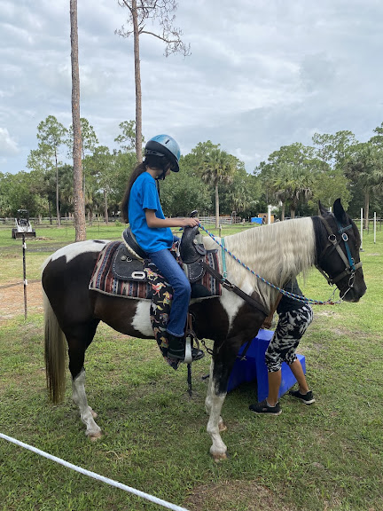 Tina's Equine Services, Inc. — Malabar, Florida (2)