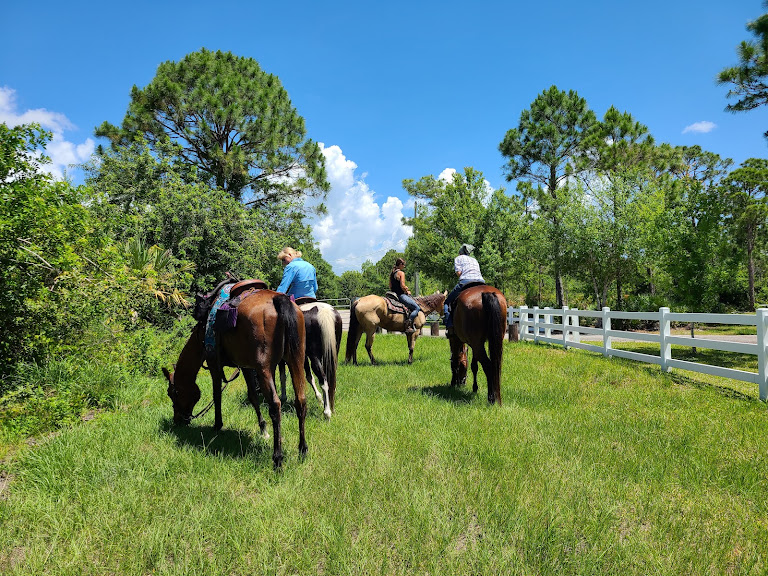 Tina’s Equine Services, Inc.