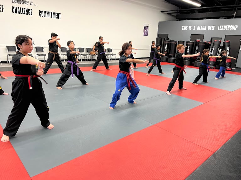 TKD Armor Academy – Taekwondo – Brazilian Jiu-Jitsu