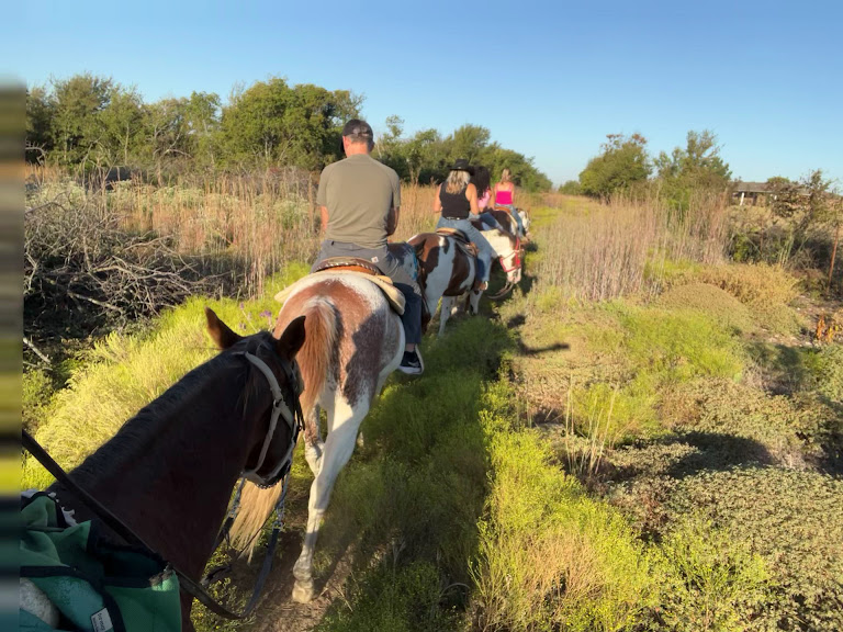 Touch of Chrome Trail Rides — Crowley, Texas (3)