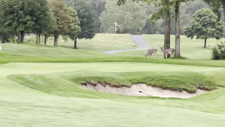 TPC Michigan — Dearborn, Michigan (3)