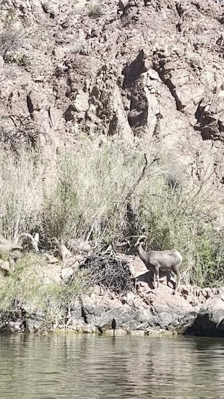 Trek Las Vegas – Emerald Cave Kayak Tours & Rentals — Boulder City, Nevada (3)