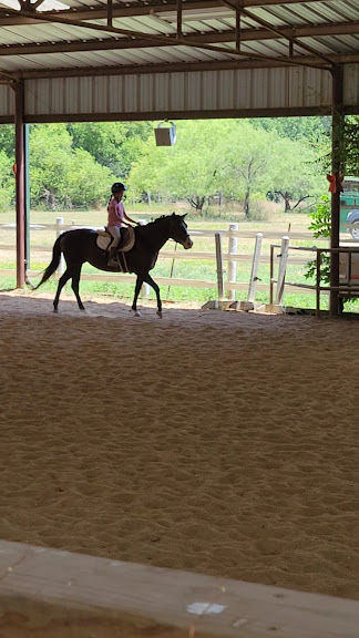 Trinity River Farm & Equestrian Center — Fort Worth, Texas (3)