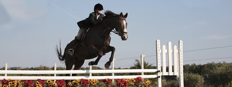 Trinity River Farm & Equestrian Center
