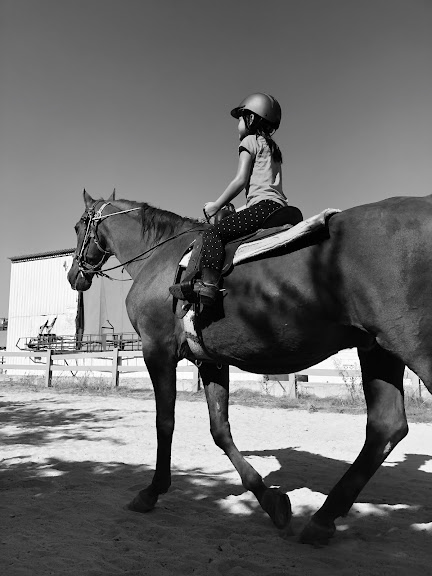 Triple R Boarding Stables