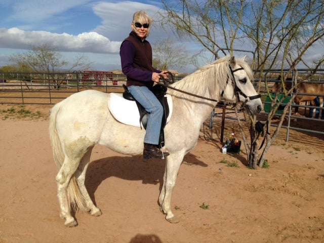 Tucson Equestrian Center — Equestrian venue in Tucson, Arizona