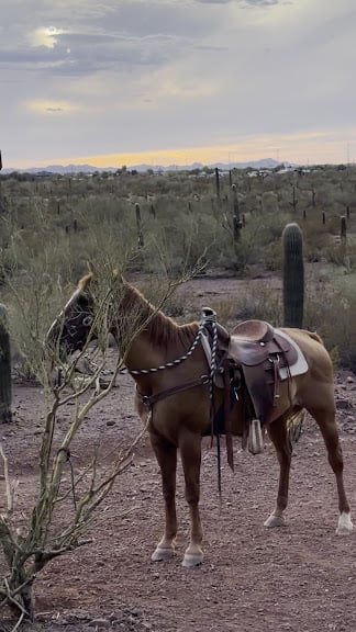 Tucson Mountain Stables — Tucson, Arizona (2)