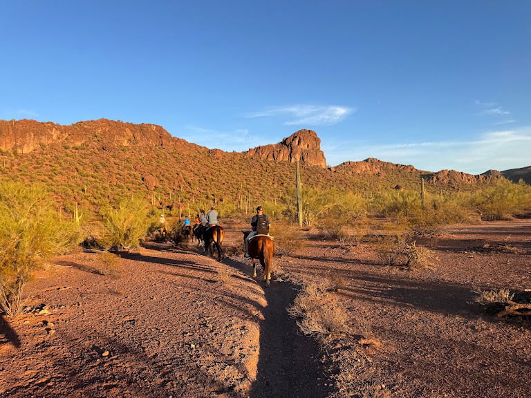 Tucson Mountain Stables — Equestrian venue in Tucson, Arizona