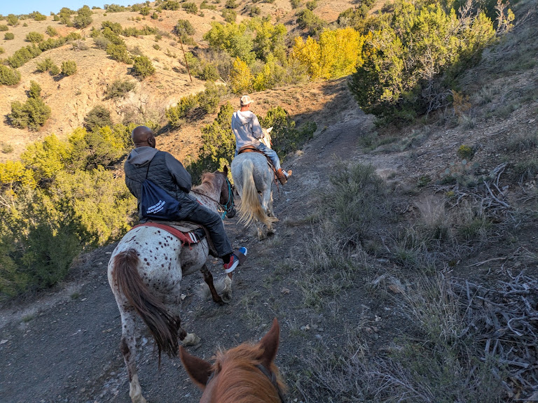 Turquoise Hills Riding Co — Los Cerrillos, New Mexico (2)