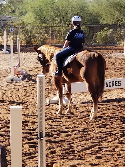 Twin Acres School of Riding