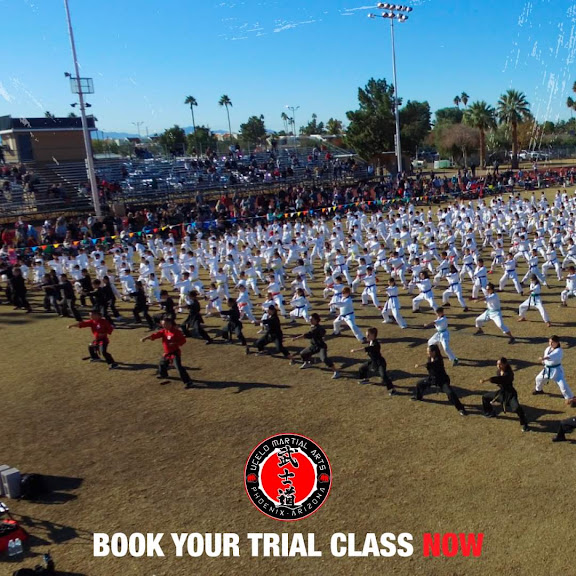 Ucelo Martial Arts Phoenix