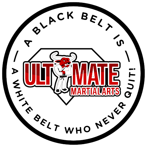 Ultimate Martial Arts Academy — Southfield, Michigan (2)