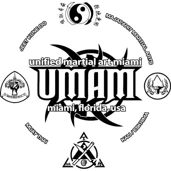 Unified Martial Art Academy — Miami, Florida (2)