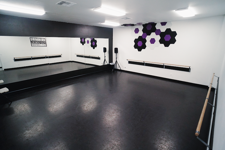 United Performing Arts Company — Pantego, Texas (3)
