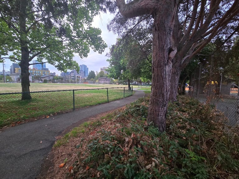 University Playground Park Tennis Courts