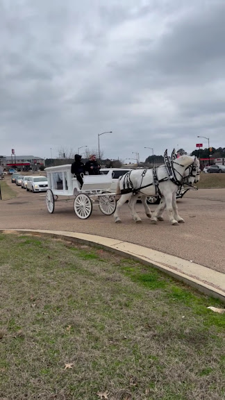 Uptown Carriage Co. - Memphis Horse & Carriage — Memphis, Tennessee (3)
