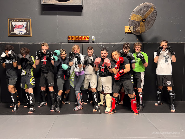 Urban Jungle Self Defense — Houston, Texas (2)