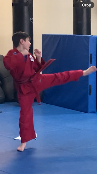 USA Martial Arts — Plano, Texas (3)