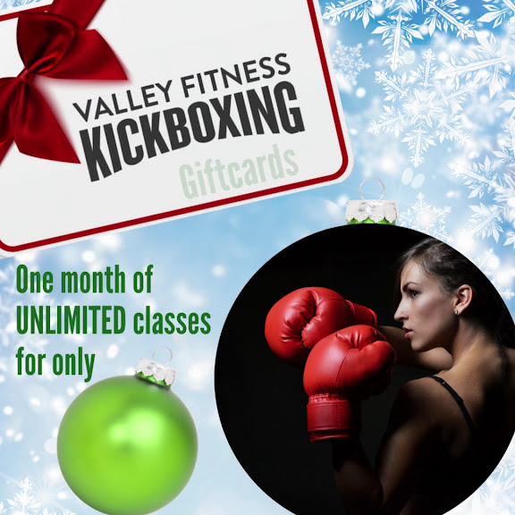 Valley Fitness Kickboxing — Glendale, Arizona (3)