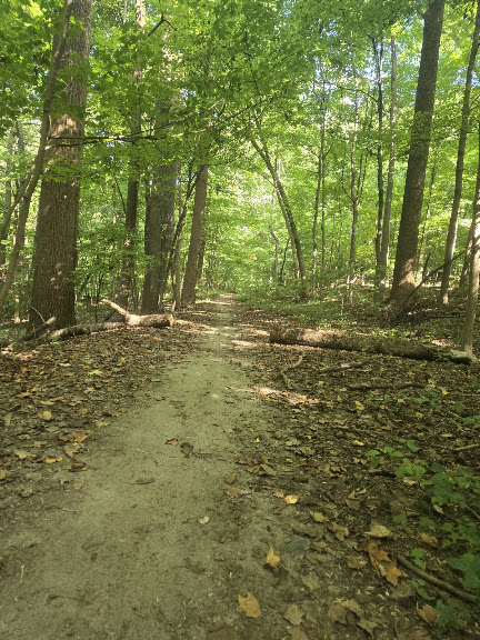 Van Cortlandt Park Running Track — Bronx, New York (2)