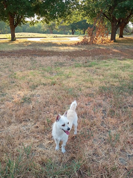 Vaqueros Field at Sycamore Park