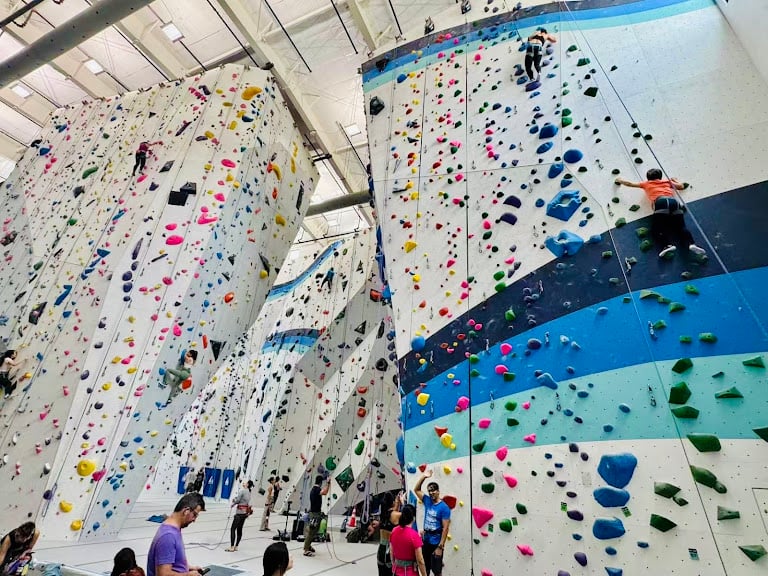 Velocity Climbing — Climbing venue in Florida