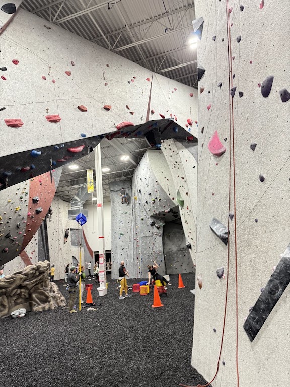 Vertical Endeavors