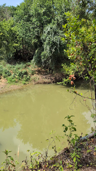 Village Creek Natural Area — Arlington, Texas (3)