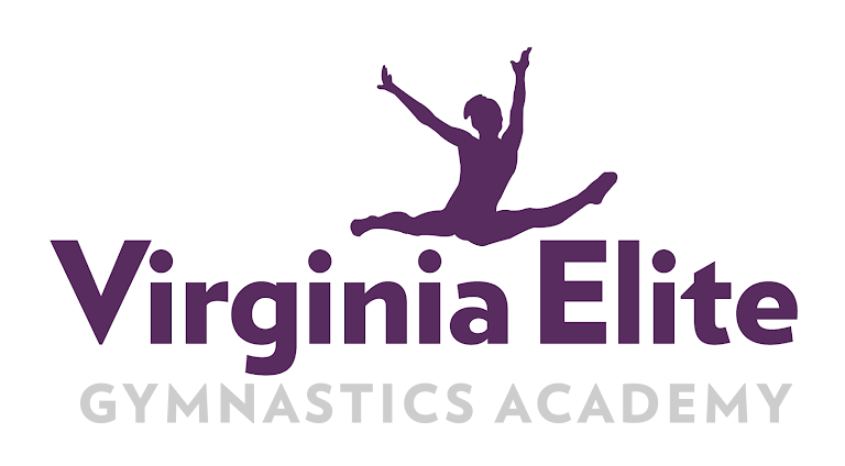 Virginia Elite Gymnastics Academy — Williamsburg, Virginia (2)