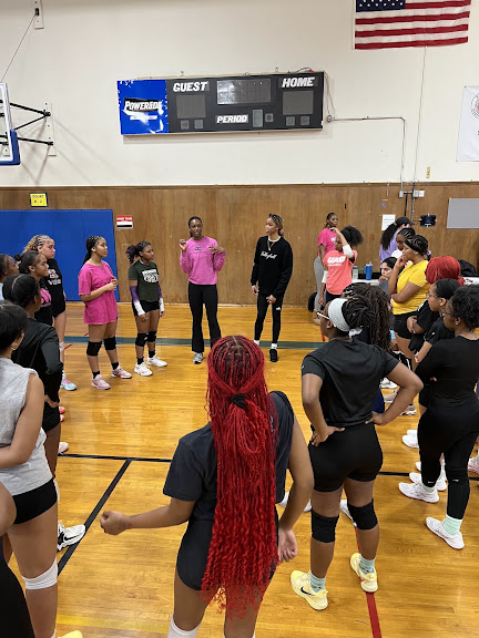 Volleyball Elite Training