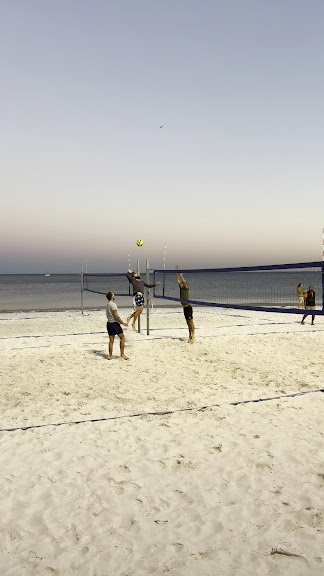 Volleyball Solutions — St. Petersburg, Florida (3)