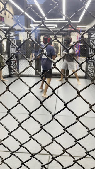 Warrior Martial Arts Academy Plano — Plano, Texas (3)