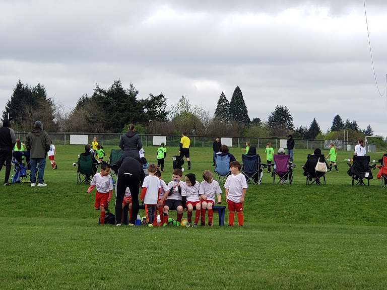 Washington Timbers Football Club