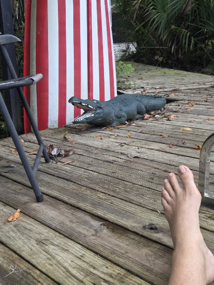 Wekiwa Springs Adventures — Apopka, Florida (2)