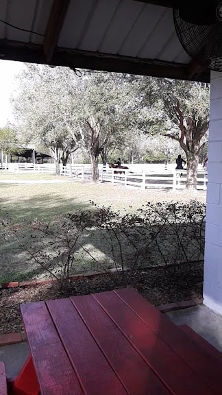 West Coast Morgans, Inc. — Odessa, Florida (3)