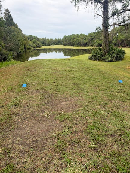 Westchase Golf Club — Tampa, Florida (2)