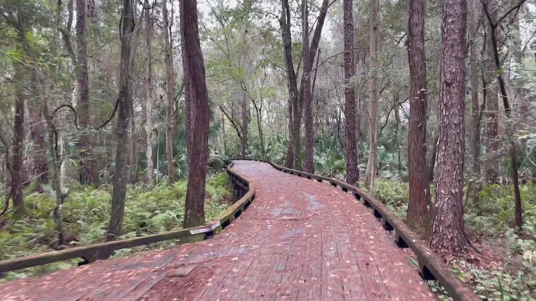 Westchase Golf Club — Tampa, Florida (3)