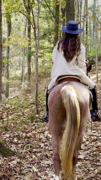 Westchester Trail Rides — Croton-On-Hudson, New York (2)