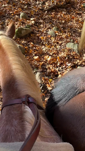 Westchester Trail Rides — Croton-On-Hudson, New York (3)