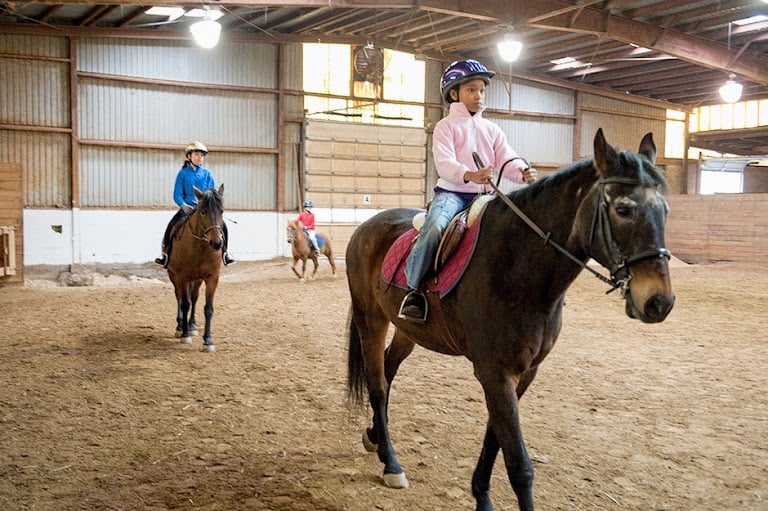 Wheaton Park Stables