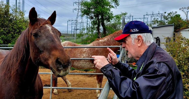 Whispering Creek Equestrian Center