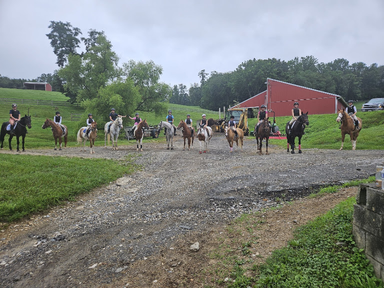 Whispering Meadows Farm
