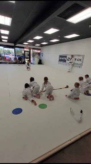 White 2 Black Brazilian Jiu-Jitsu | Mesa AZ — Mesa, Arizona (3)