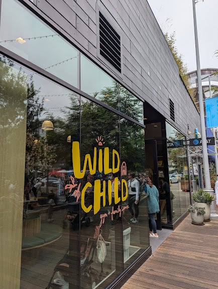 Wild Child Gym