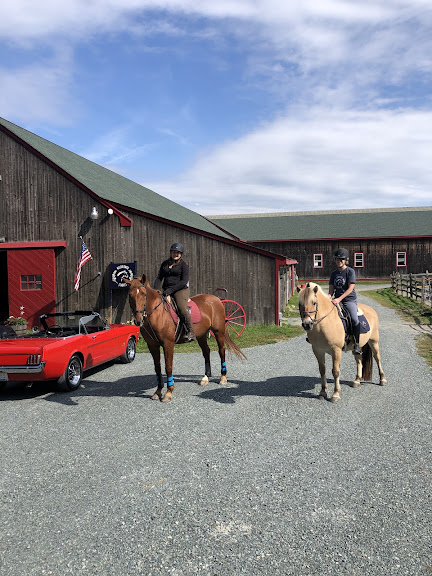 Wildflower Stables — Norfolk, Massachusetts (2)