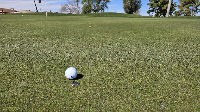 Willow Creek/WIllow Brook-Sun City Arizona — Sun City, Arizona (2)