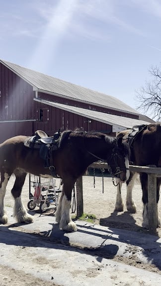 Willow Grove Farm — Long Valley, New Jersey (3)