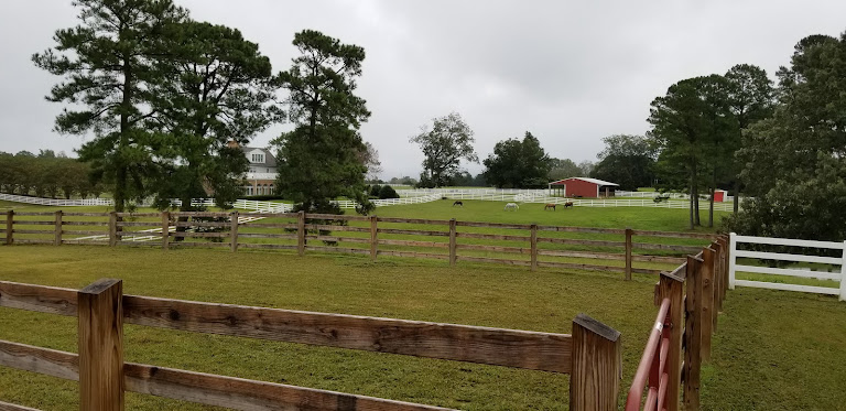 Willow Pond Estates