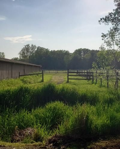 Willow Tree Stables