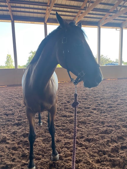 Woodlands Equestrian Center — Equestrian venue in Edmond, Oklahoma